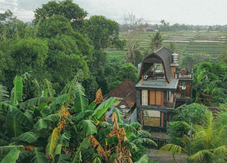 Tori Klumpu, 3 Bedroom Artistic Villa, Dual Views Near Ubud Badung  Kültér fotó